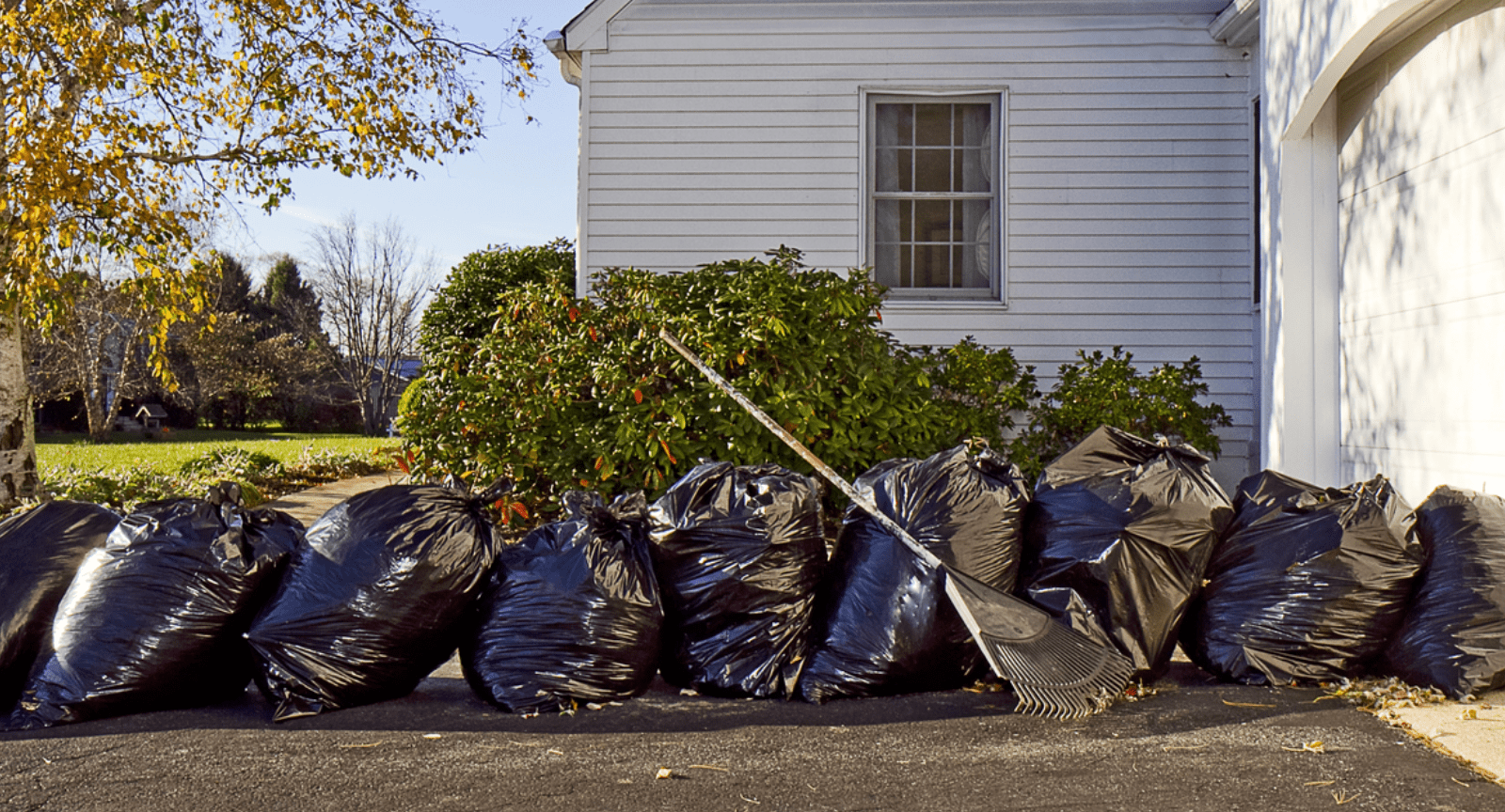 Yard Cleanups